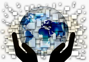 开云·体育官方网站入口-全国电子竞技公开赛上海收官，全国电子竞技大赛官网2020